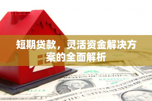 镇远短期贷款，灵活资金解决方案的全面解析