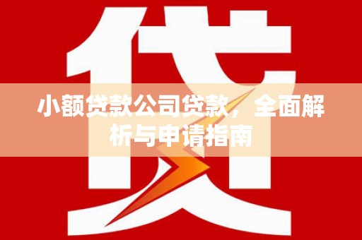 镇远小额贷款公司贷款，全面解析与申请指南