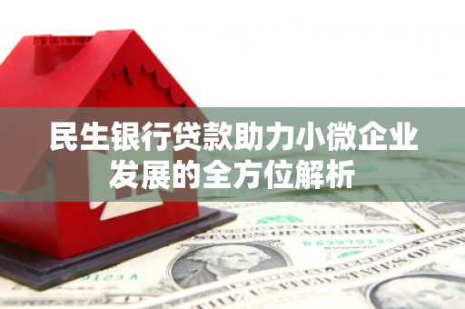 镇远民生银行贷款助力小微企业发展的全方位解析