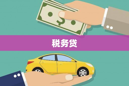 镇远税务贷