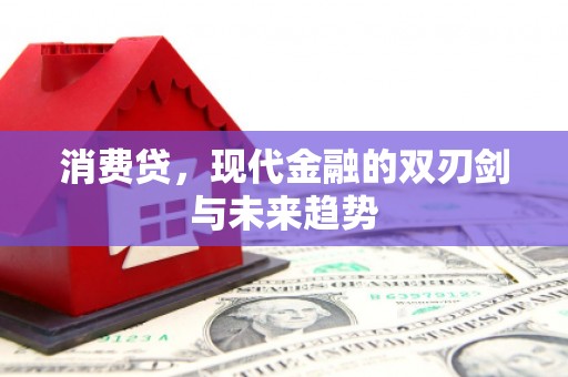 镇远消费贷，现代金融的双刃剑与未来趋势