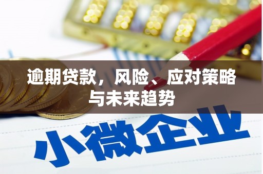 镇远逾期贷款，风险、应对策略与未来趋势