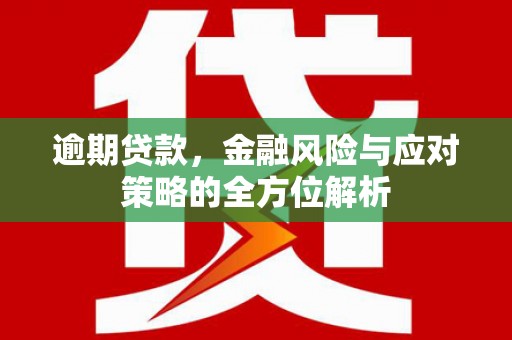 镇远逾期贷款，金融风险与应对策略的全方位解析