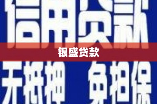 镇远银盛贷款