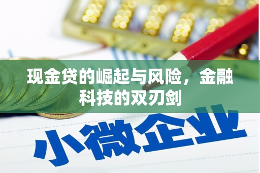 镇远现金贷的崛起与风险，金融科技的双刃剑