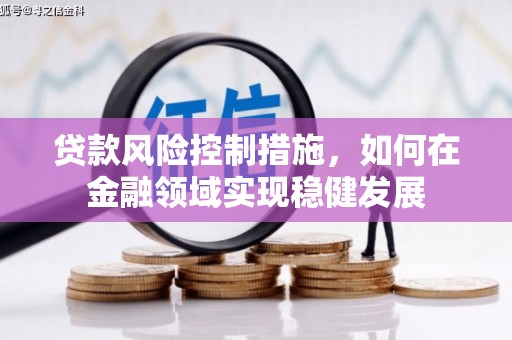 镇远贷款风险控制措施，如何在金融领域实现稳健发展