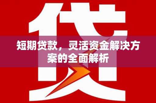 镇远短期贷款，灵活资金解决方案的全面解析