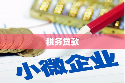 镇远税务贷款