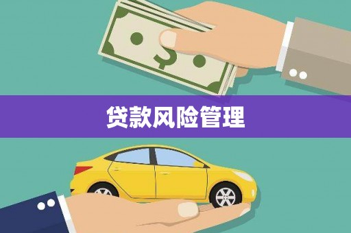 镇远贷款风险管理