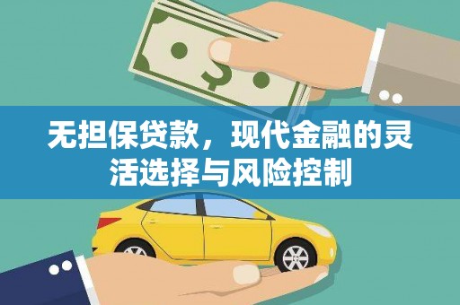 镇远无担保贷款，现代金融的灵活选择与风险控制