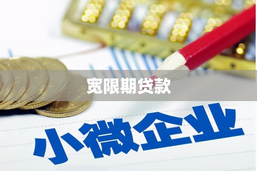 镇远宽限期贷款