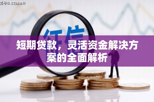 镇远短期贷款，灵活资金解决方案的全面解析