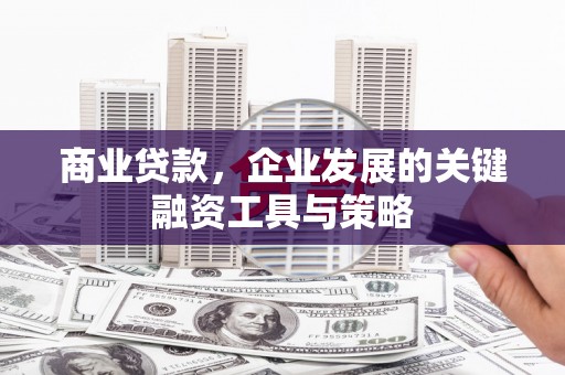 镇远商业贷款，企业发展的关键融资工具与策略