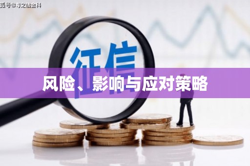 镇远风险、影响与应对策略
