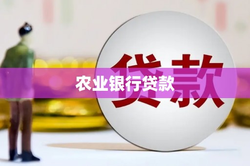 镇远农业银行贷款