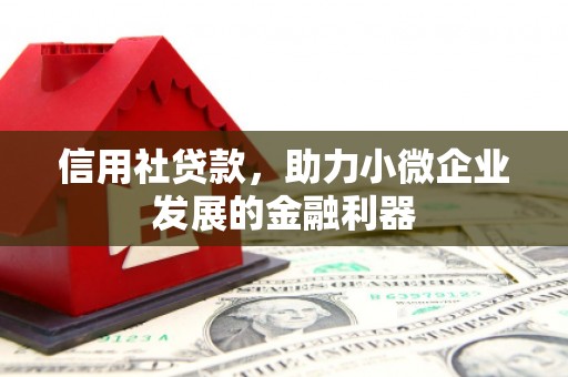 镇远信用社贷款，助力小微企业发展的金融利器
