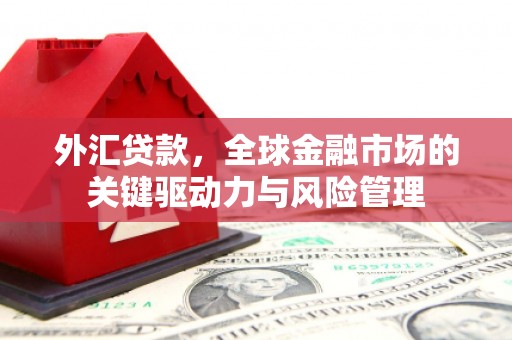镇远外汇贷款，全球金融市场的关键驱动力与风险管理