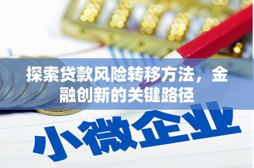 镇远探索贷款风险转移方法，金融创新的关键路径