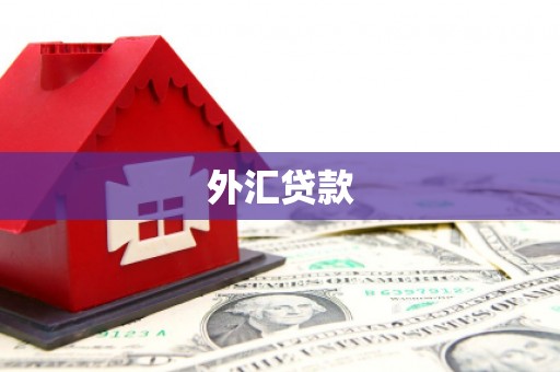 镇远外汇贷款