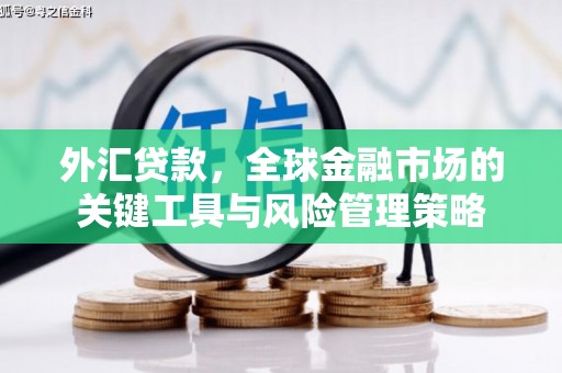 镇远外汇贷款，全球金融市场的关键工具与风险管理策略