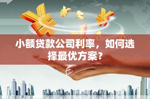 镇远小额贷款公司利率，如何选择最优方案？