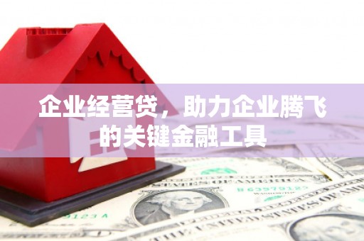 镇远企业经营贷，助力企业腾飞的关键金融工具