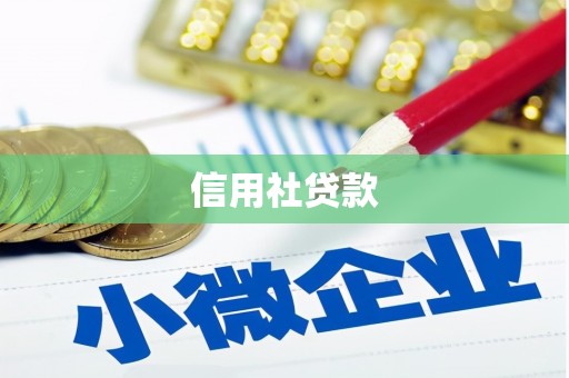 镇远信用社贷款