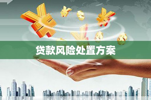 镇远贷款风险处置方案