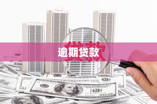 镇远逾期贷款