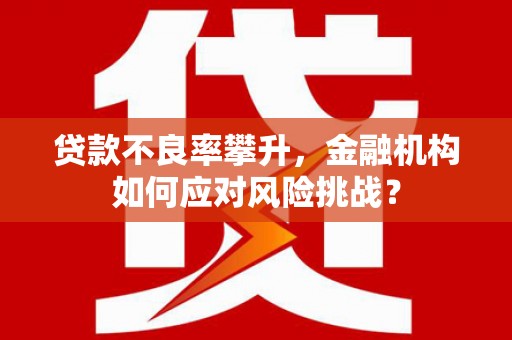 镇远贷款不良率攀升，金融机构如何应对风险挑战？