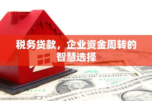 镇远税务贷款，企业资金周转的智慧选择