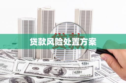 镇远贷款风险处置方案