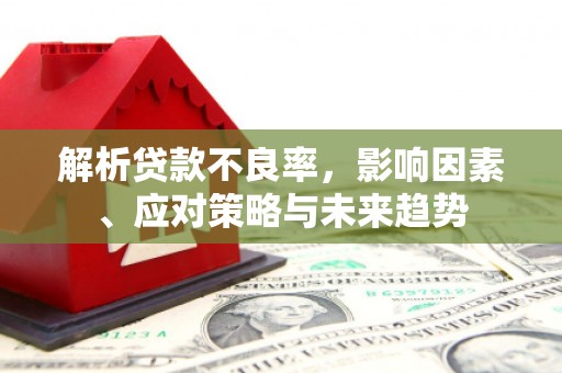 镇远解析贷款不良率，影响因素、应对策略与未来趋势