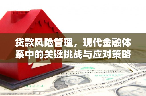 镇远贷款风险管理，现代金融体系中的关键挑战与应对策略