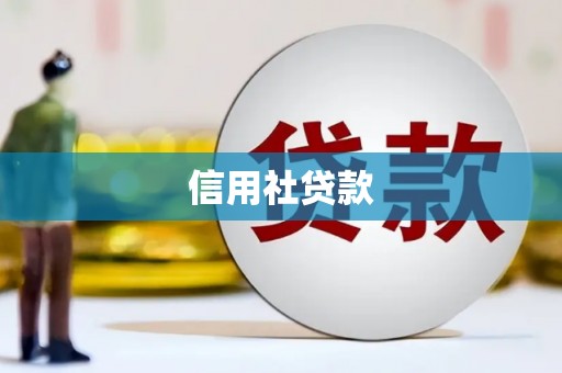 镇远信用社贷款