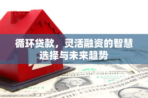 镇远循环贷款，灵活融资的智慧选择与未来趋势