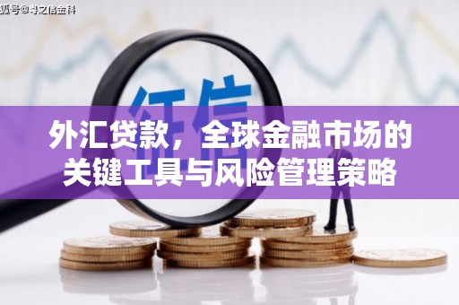 镇远外汇贷款，全球金融市场的关键工具与风险管理策略