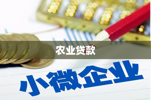 镇远农业贷款