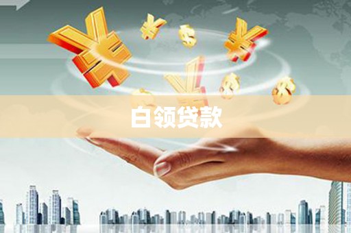 镇远白领贷款