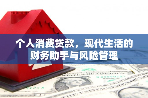 镇远个人消费贷款，现代生活的财务助手与风险管理