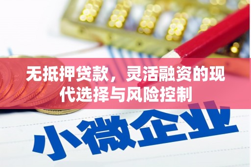 镇远无抵押贷款，灵活融资的现代选择与风险控制