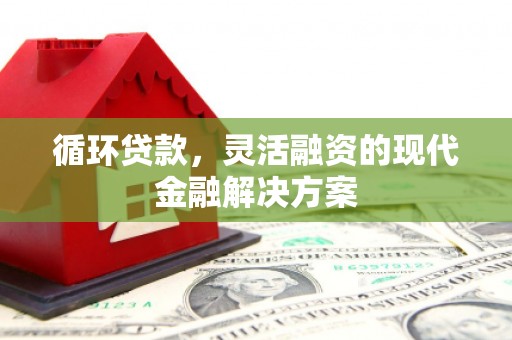 镇远循环贷款，灵活融资的现代金融解决方案