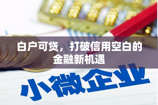 镇远白户可贷，打破信用空白的金融新机遇