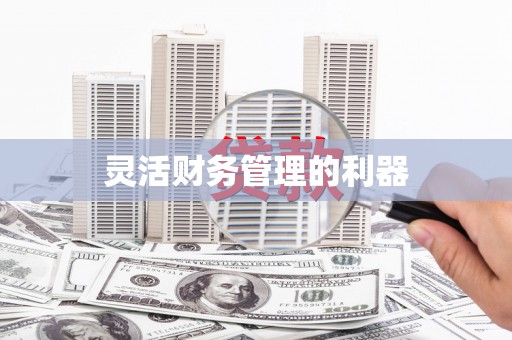 镇远灵活财务管理的利器