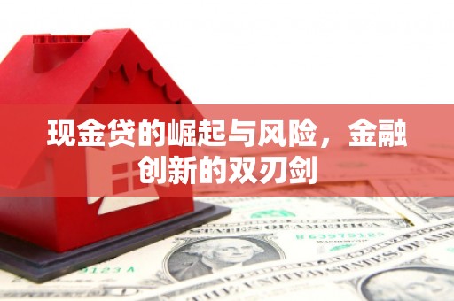 镇远现金贷的崛起与风险，金融创新的双刃剑