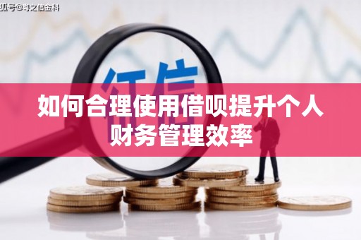 镇远如何合理使用借呗提升个人财务管理效率