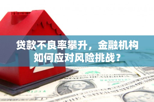 镇远贷款不良率攀升，金融机构如何应对风险挑战？