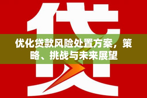 镇远优化贷款风险处置方案，策略、挑战与未来展望