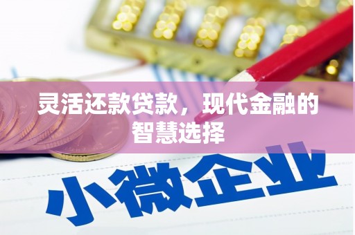 镇远灵活还款贷款，现代金融的智慧选择