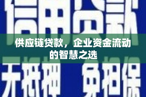 镇远供应链贷款，企业资金流动的智慧之选